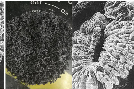 +100 Siatka Grafitu Ekspandowanego Wysokowęglowego