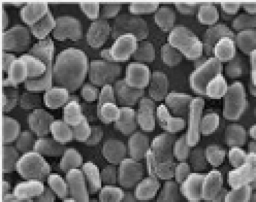 99,97% zawartości węgla 21um i 13 ppm Fe Naturalny materiał anodowy Sferyczny grafit